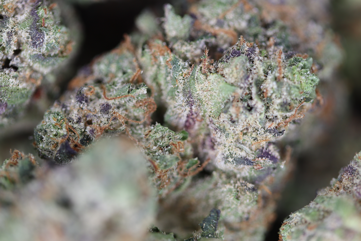 Platinum Bubba Bag Platinum Bubba