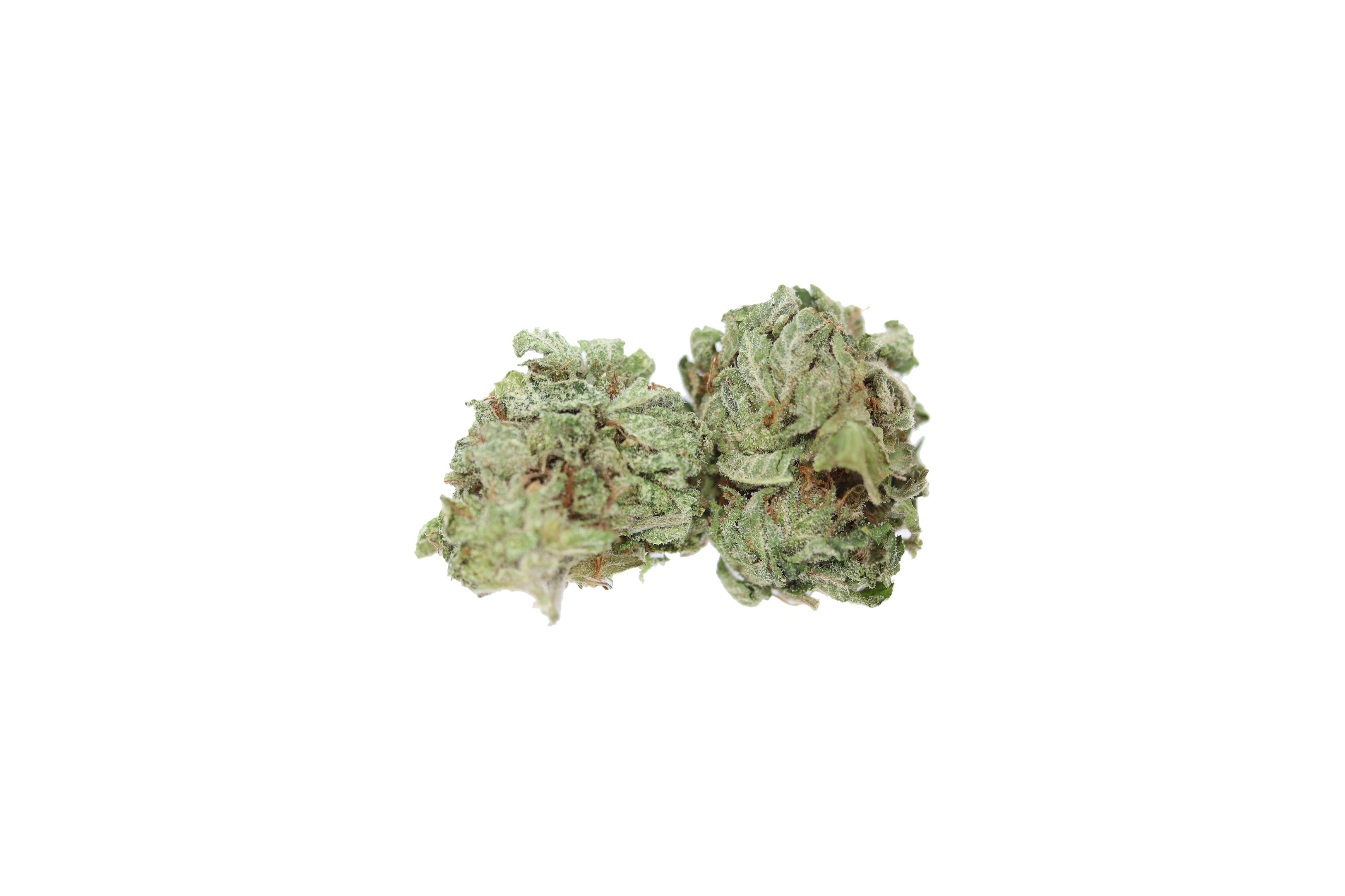 Tuna OG Smalls 2 Tuna OG Smalls