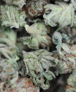 Tuna OG Smalls Bag Tuna OG Smalls Bag