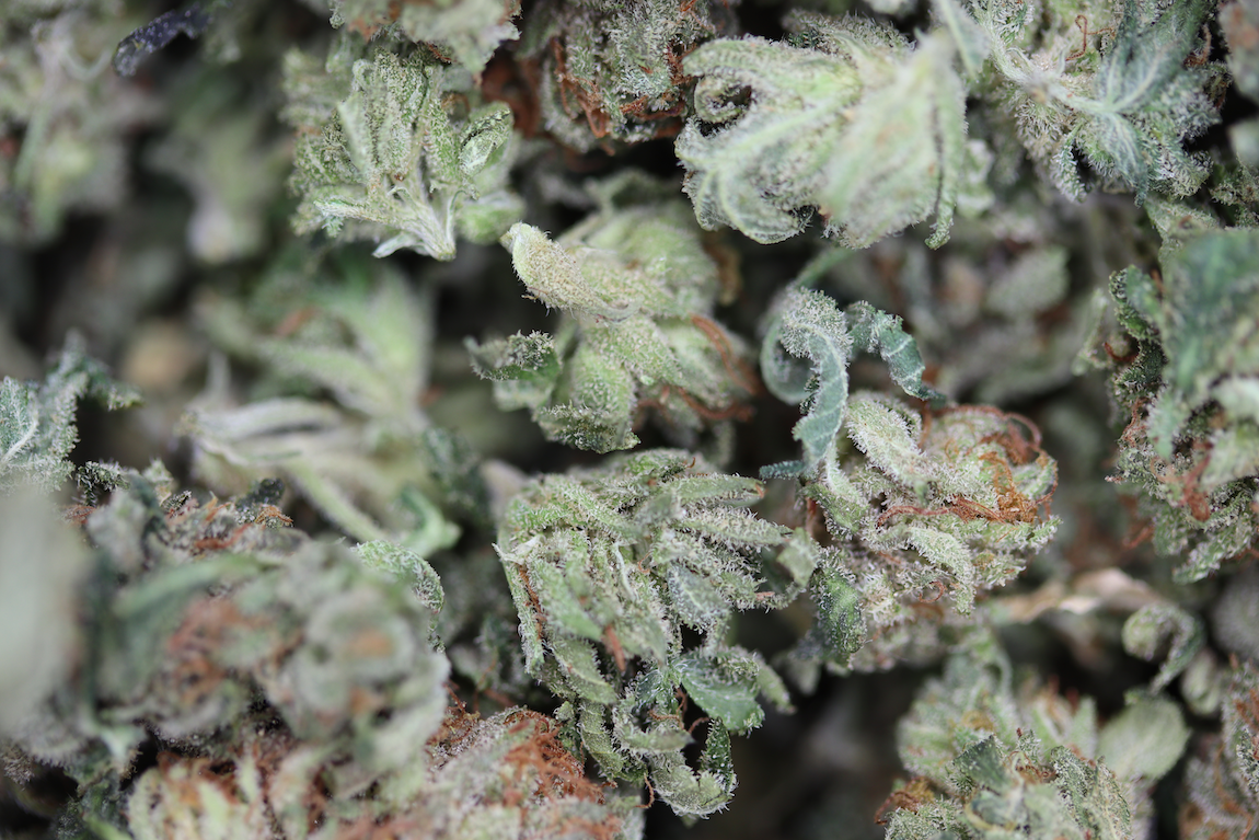 Tuna OG Smalls Bag Tuna OG Smalls
