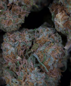 black domina bag black domina bag
