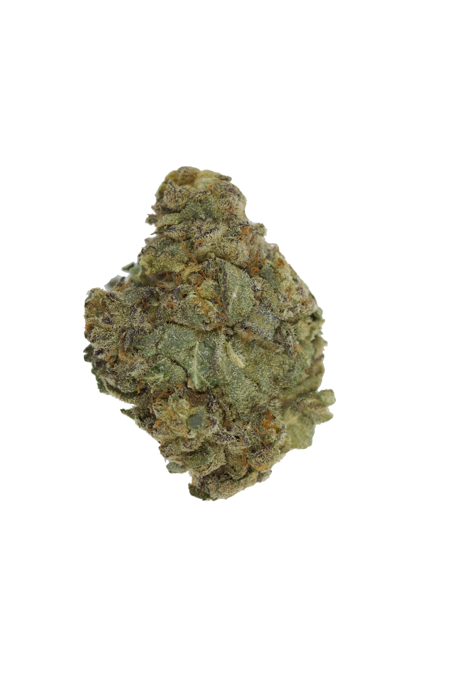 black domina nugs Black Domina