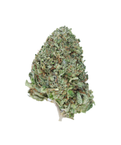 buy golden gas bubba