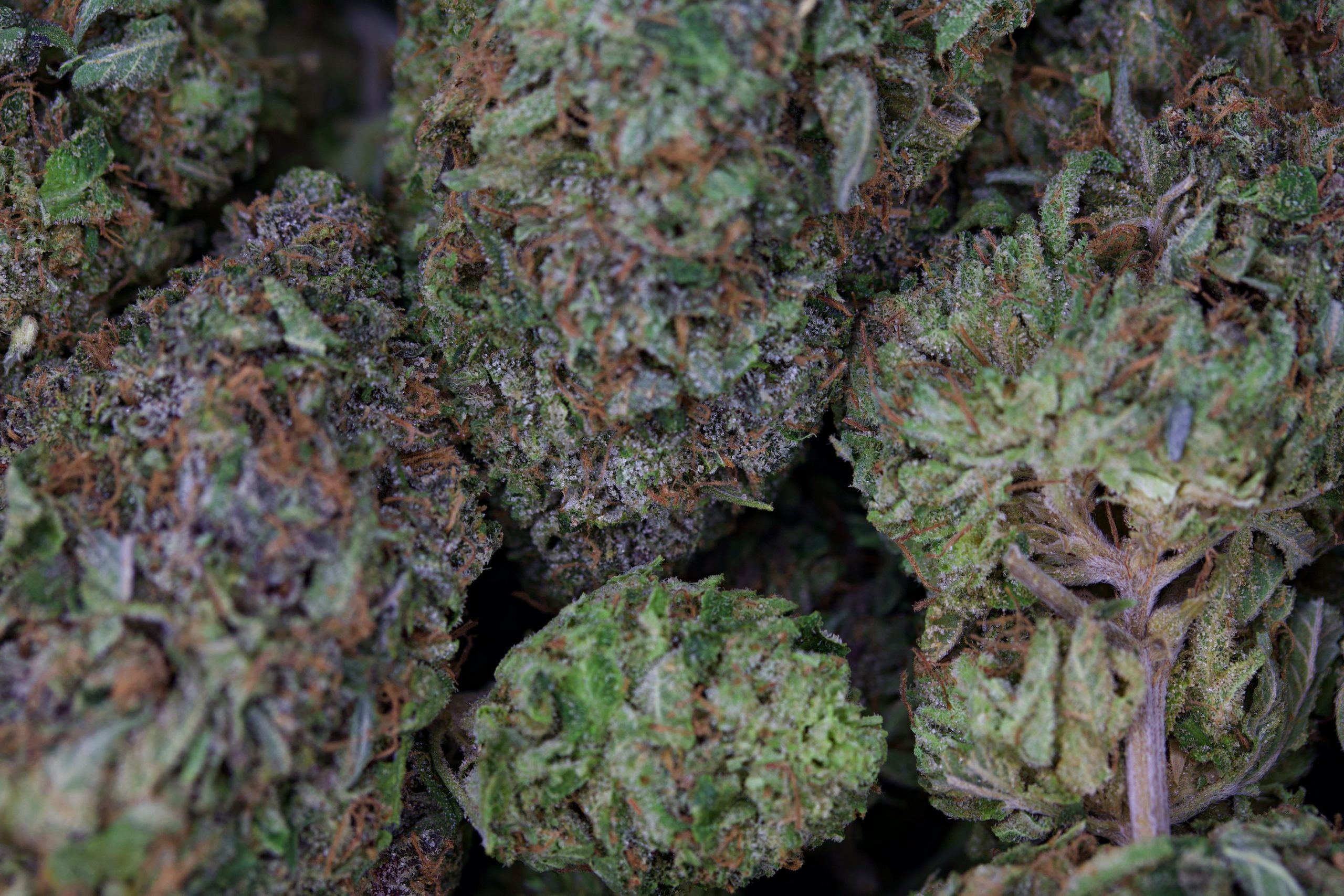golden gas bubba bag Golden Gas Bubba