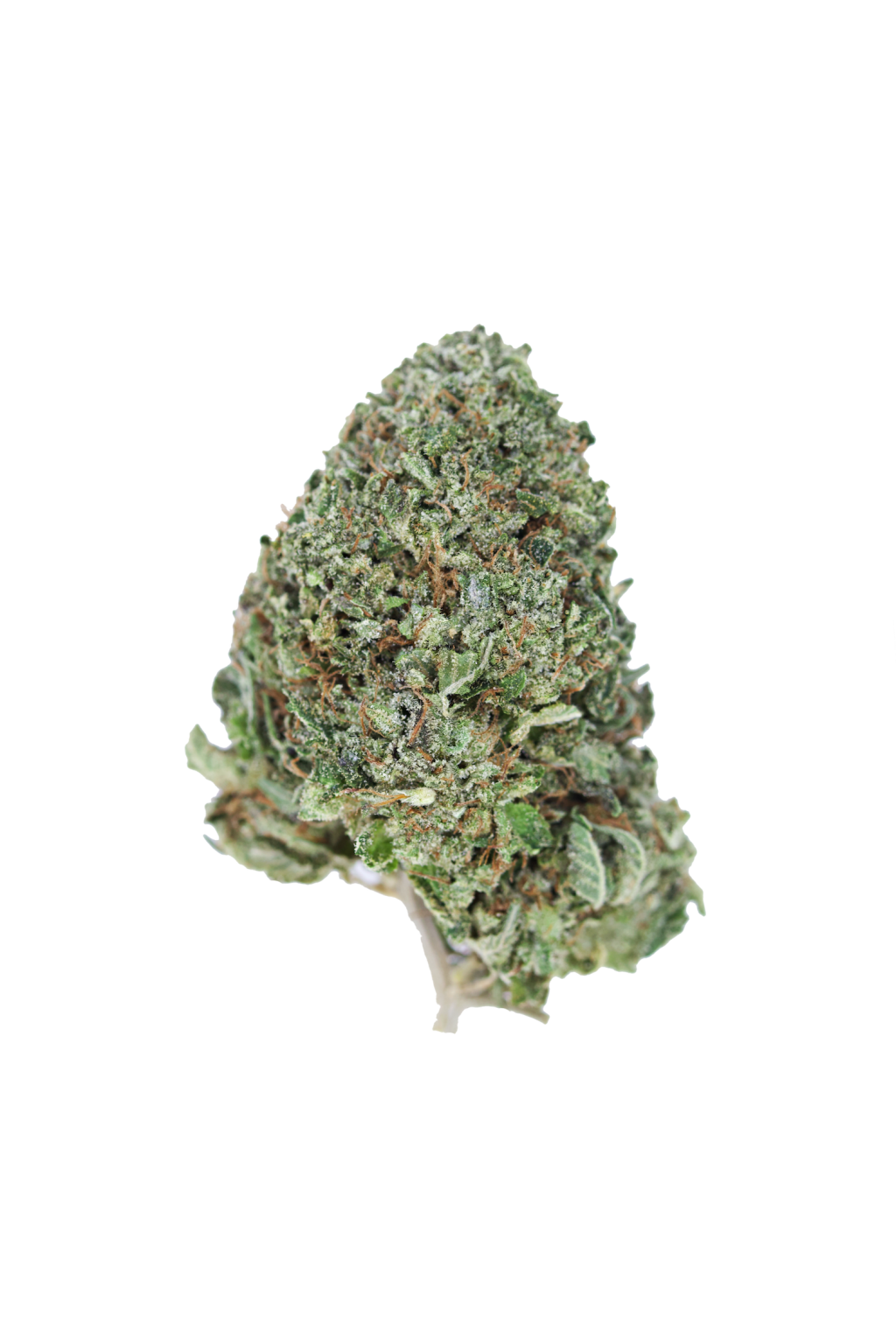 golden gas bubba Golden Gas Bubba