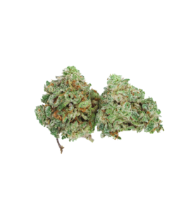Mimosa Smalls