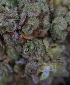 pacific frost bag pacific frost bag