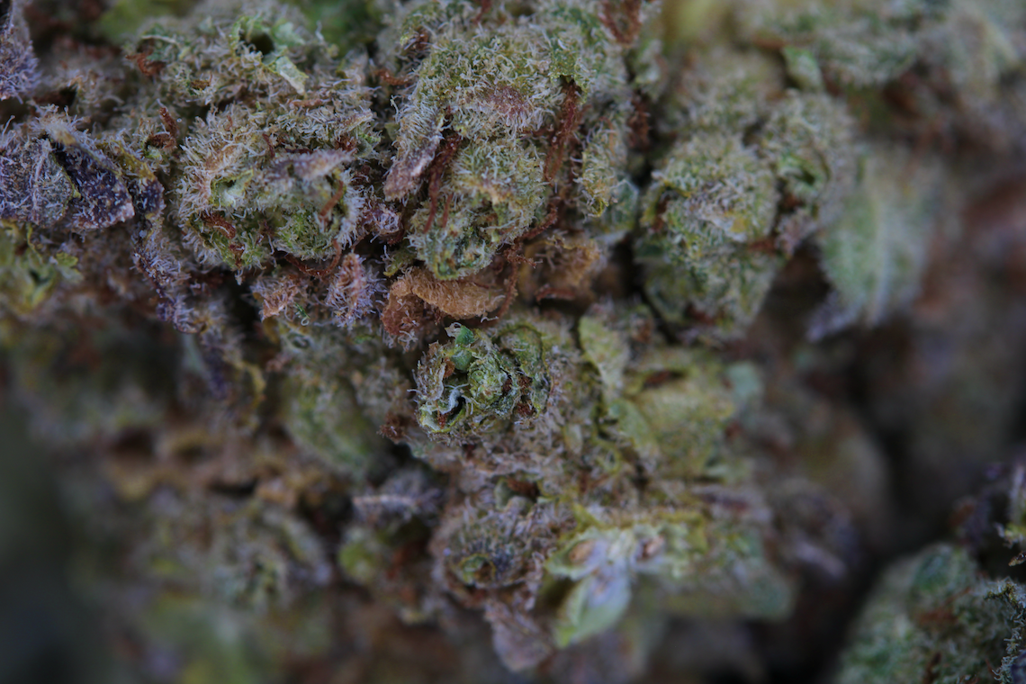 pacific frost bag Pacific Frost