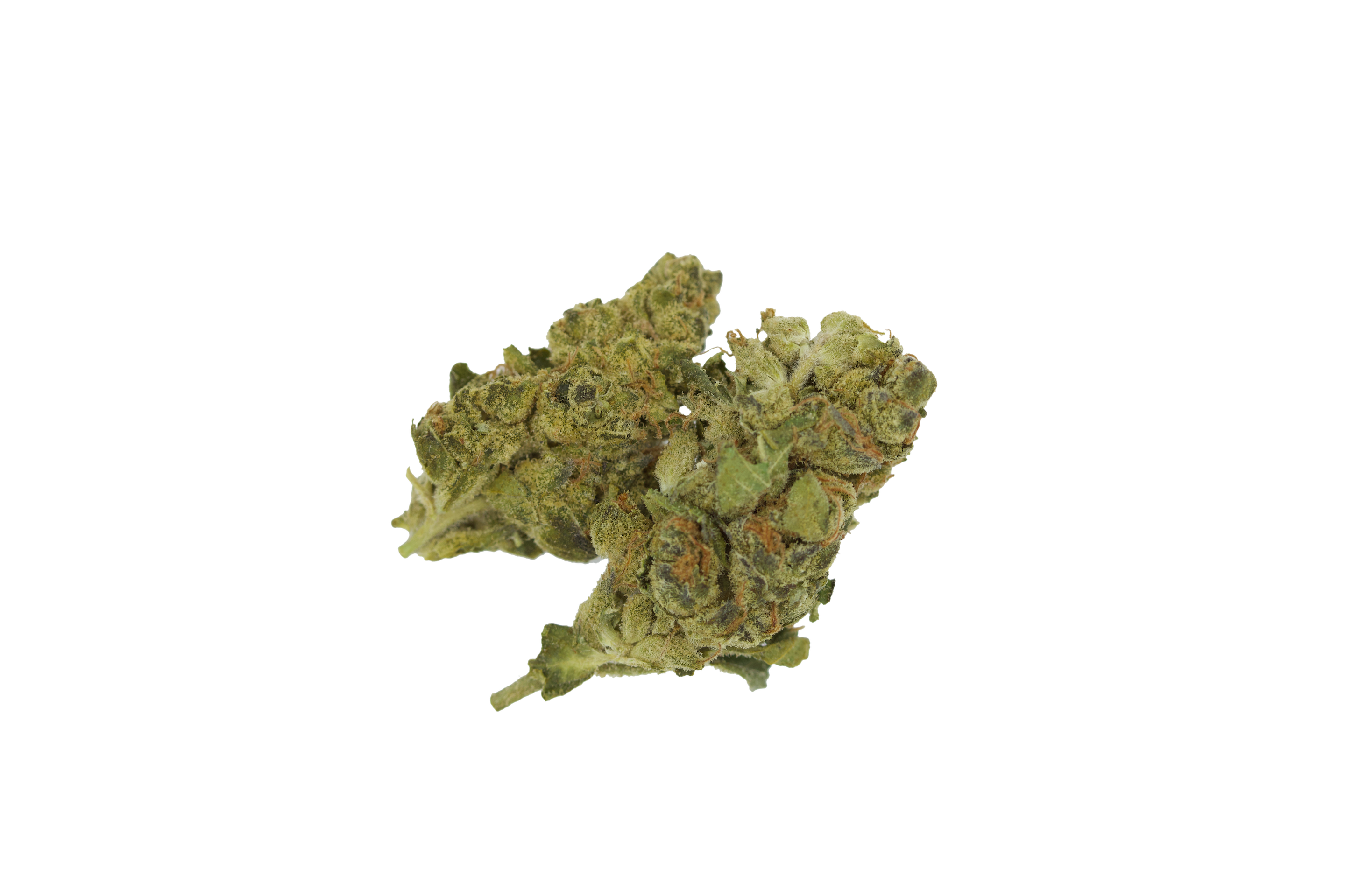 tang breath Tang Breath Smalls