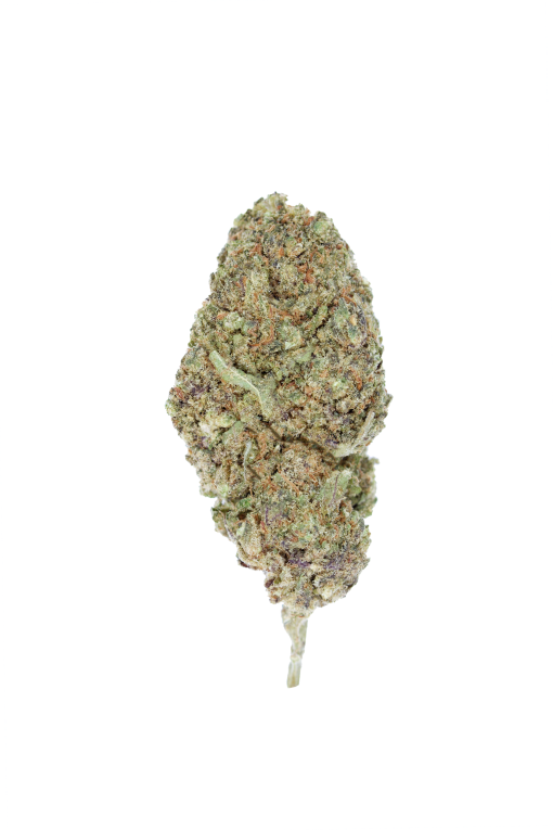 Critical Berries Bud 510x765 1 Critical Berries