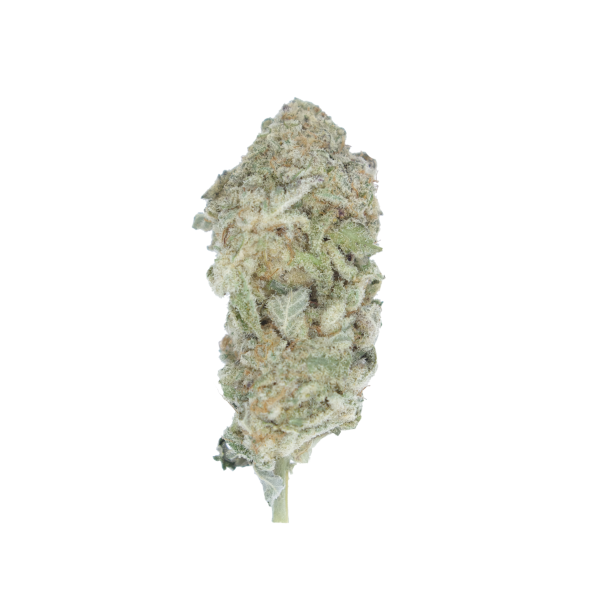 Mac Daddy 600x600 1 Mac Daddy