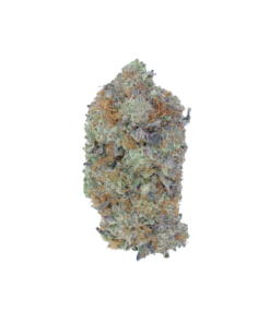 buy og shark online