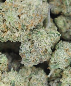 OG Shark LSO bag OG Shark LSO bag