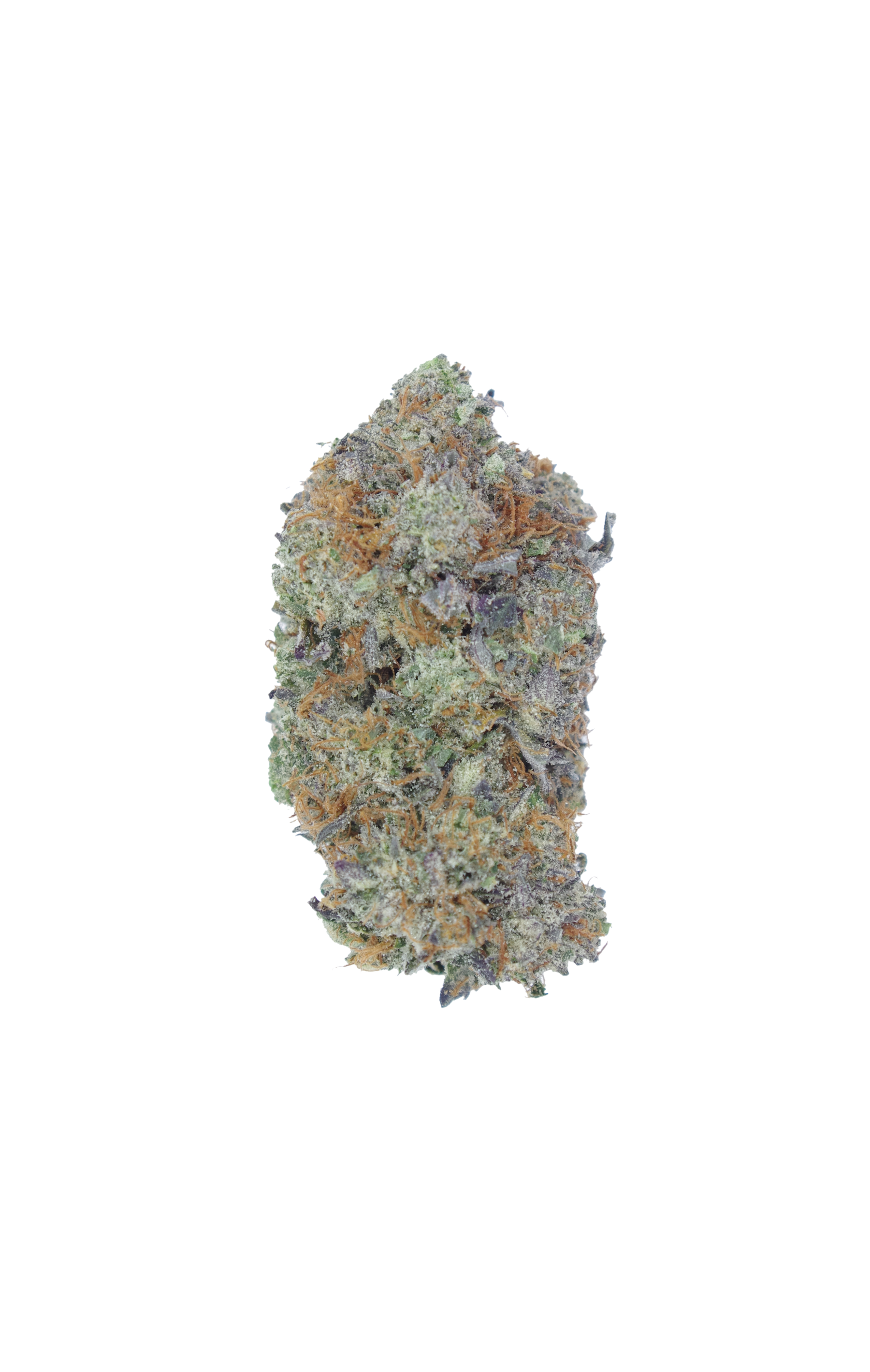 OG Shark LSO Shark OG (LSO)