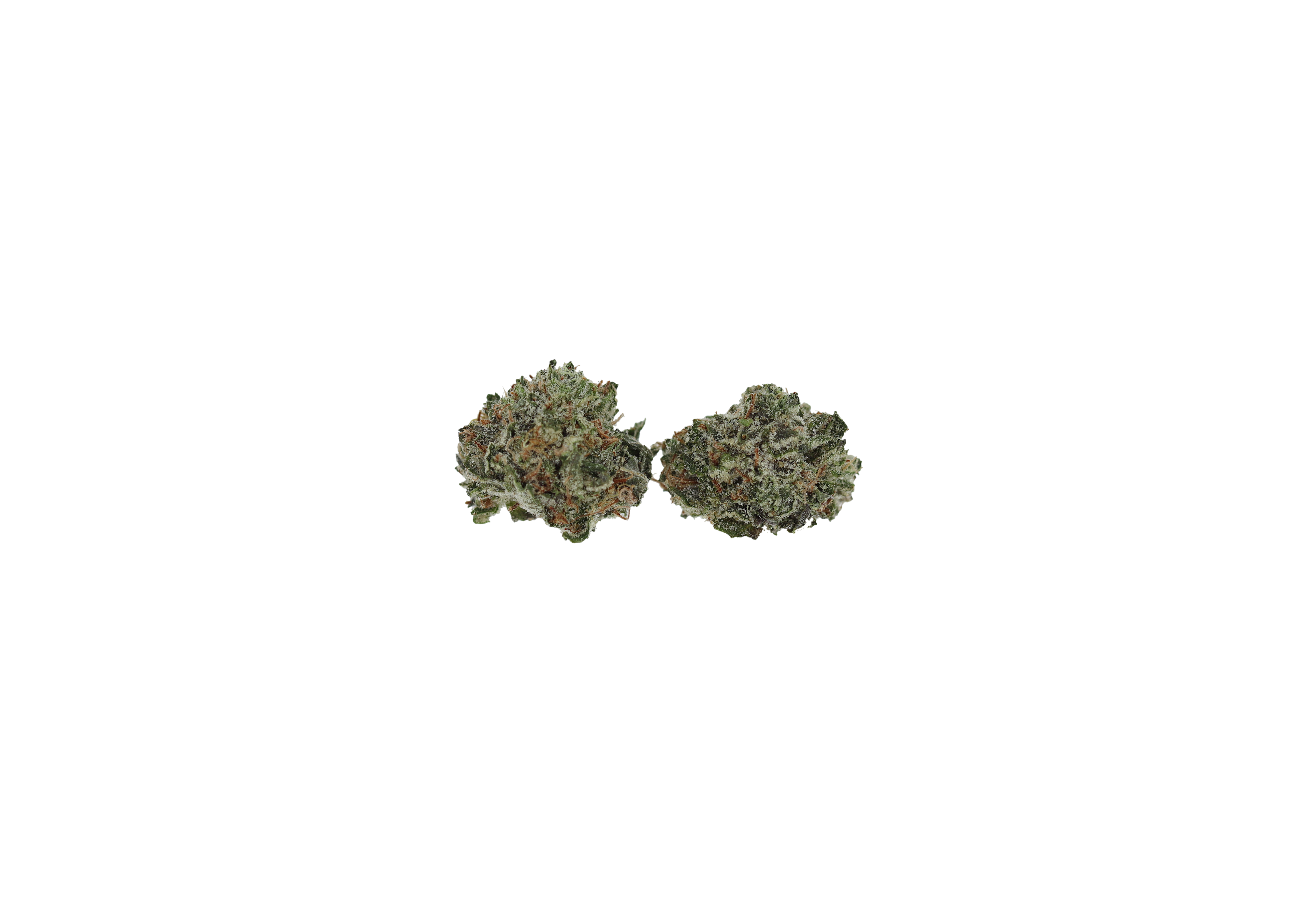 Pre 98 Bubba Smalls Pre-98 Bubba Smalls