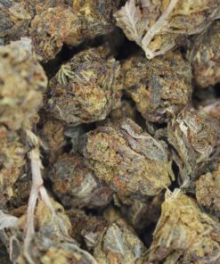 Purple trainwreck bag