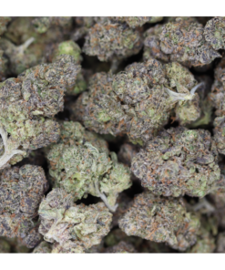 Rainbow Zkittles Bag