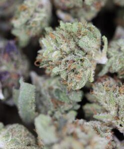 Apricot Kush Bag scaled 2 Apricot Kush Bag scaled 2
