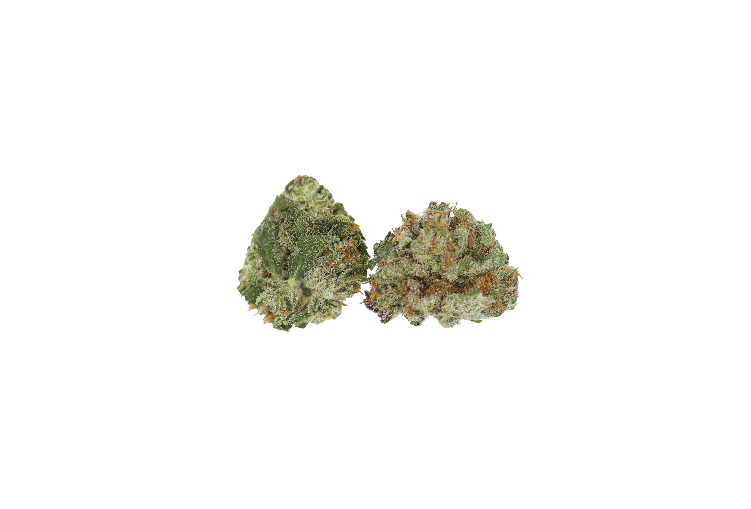 Apricot Smalls Buds 1 scaled Apricot Kush Smalls