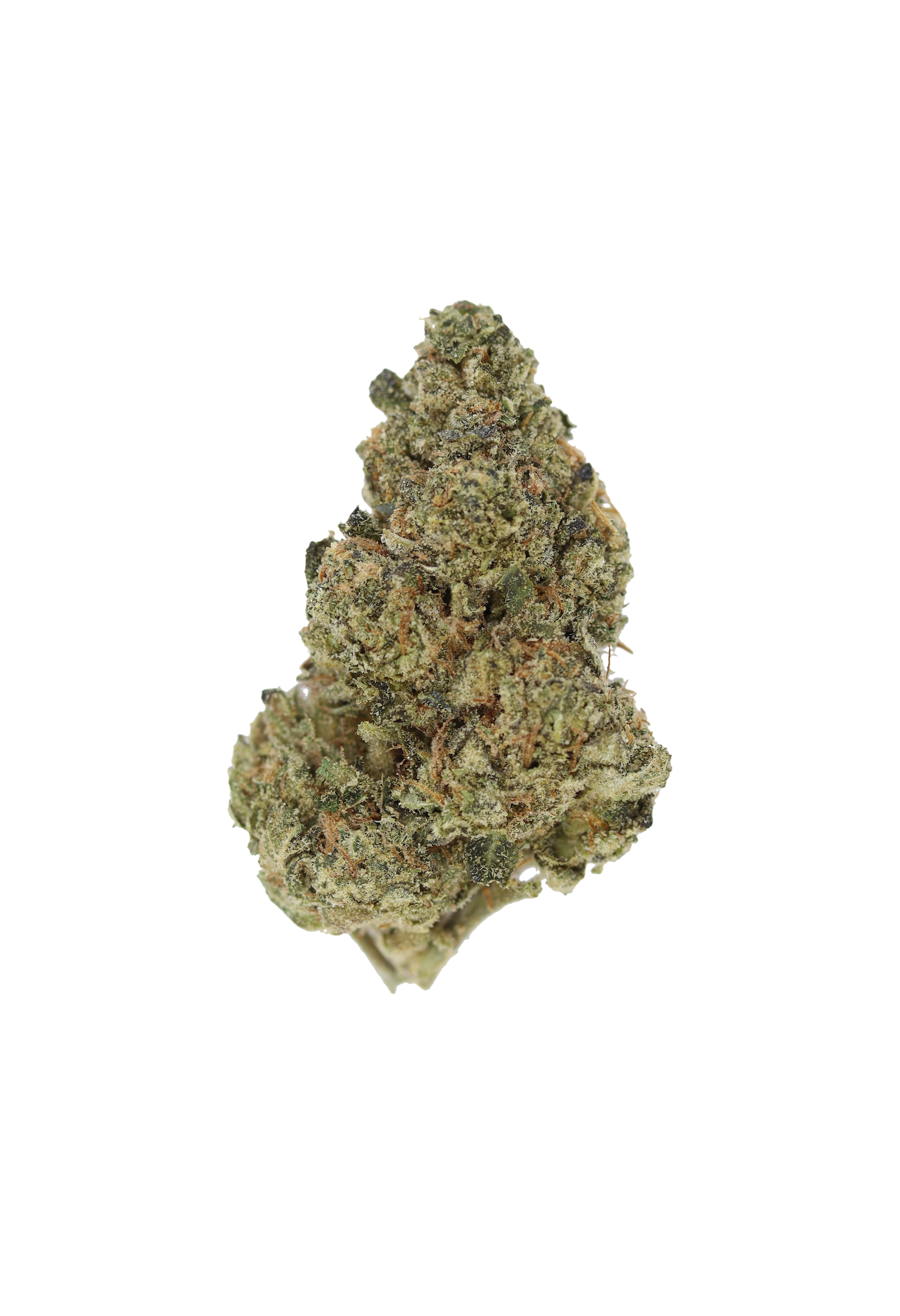 Blue City Diesel Bud Blue City Diesel