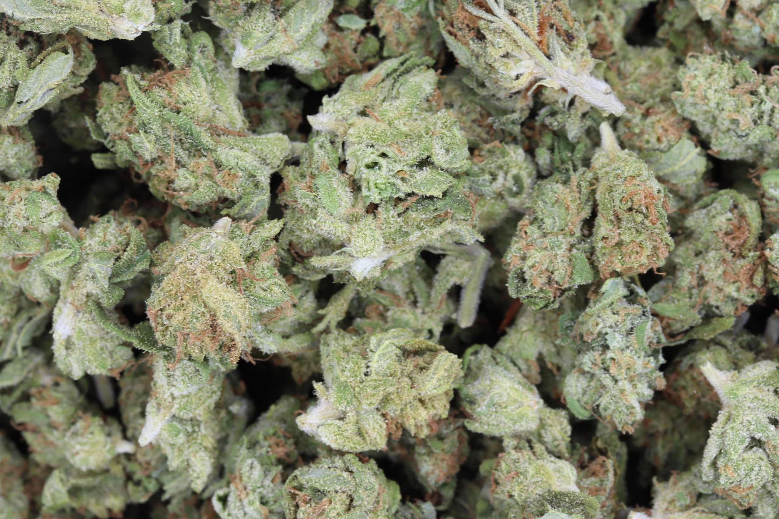 Cali Smalls Bag scaled 1 Cali Kush Smalls
