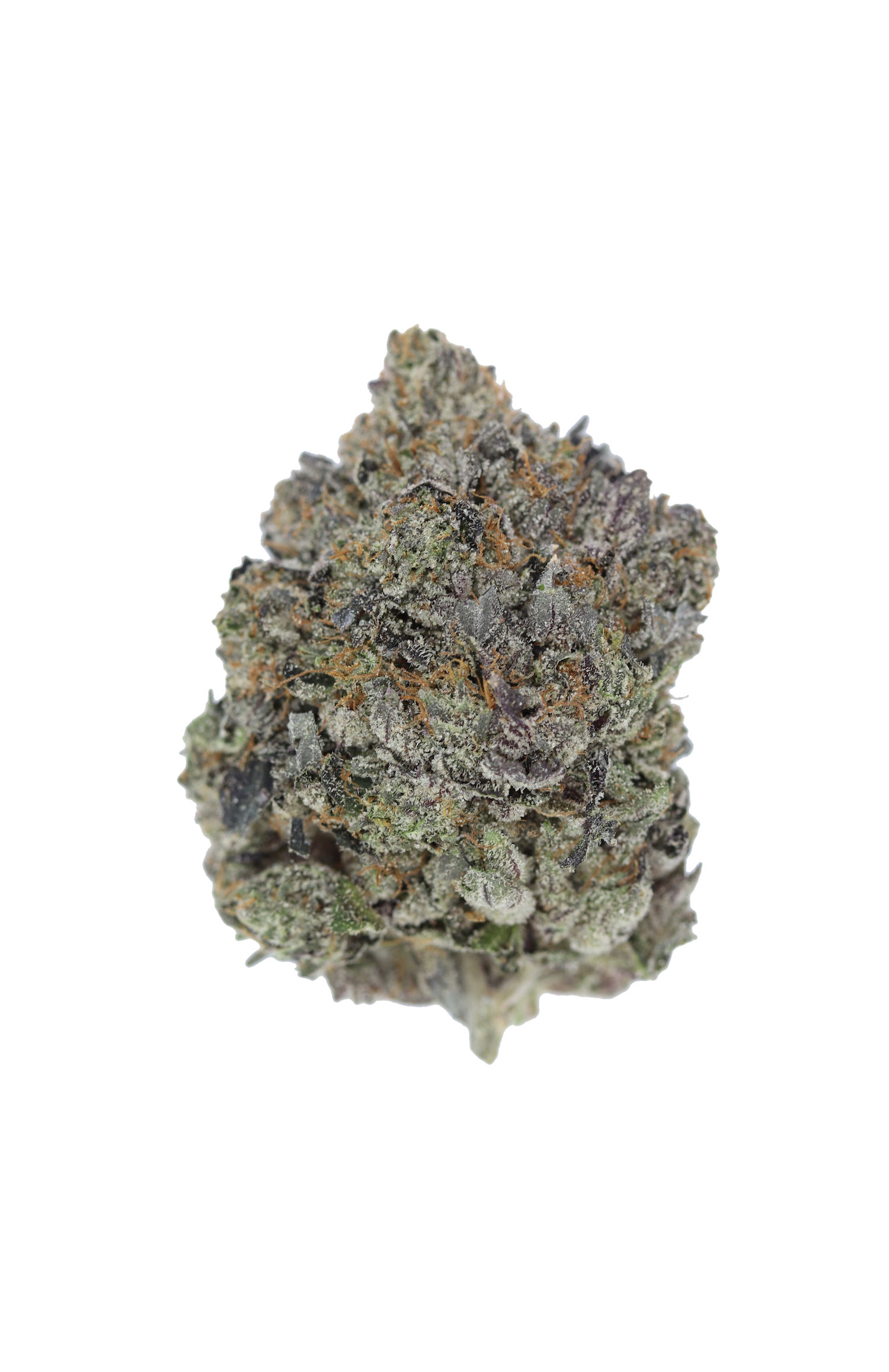 Gas Militia Pink Sapphire Bud Gas Militia - Pink Sapphire