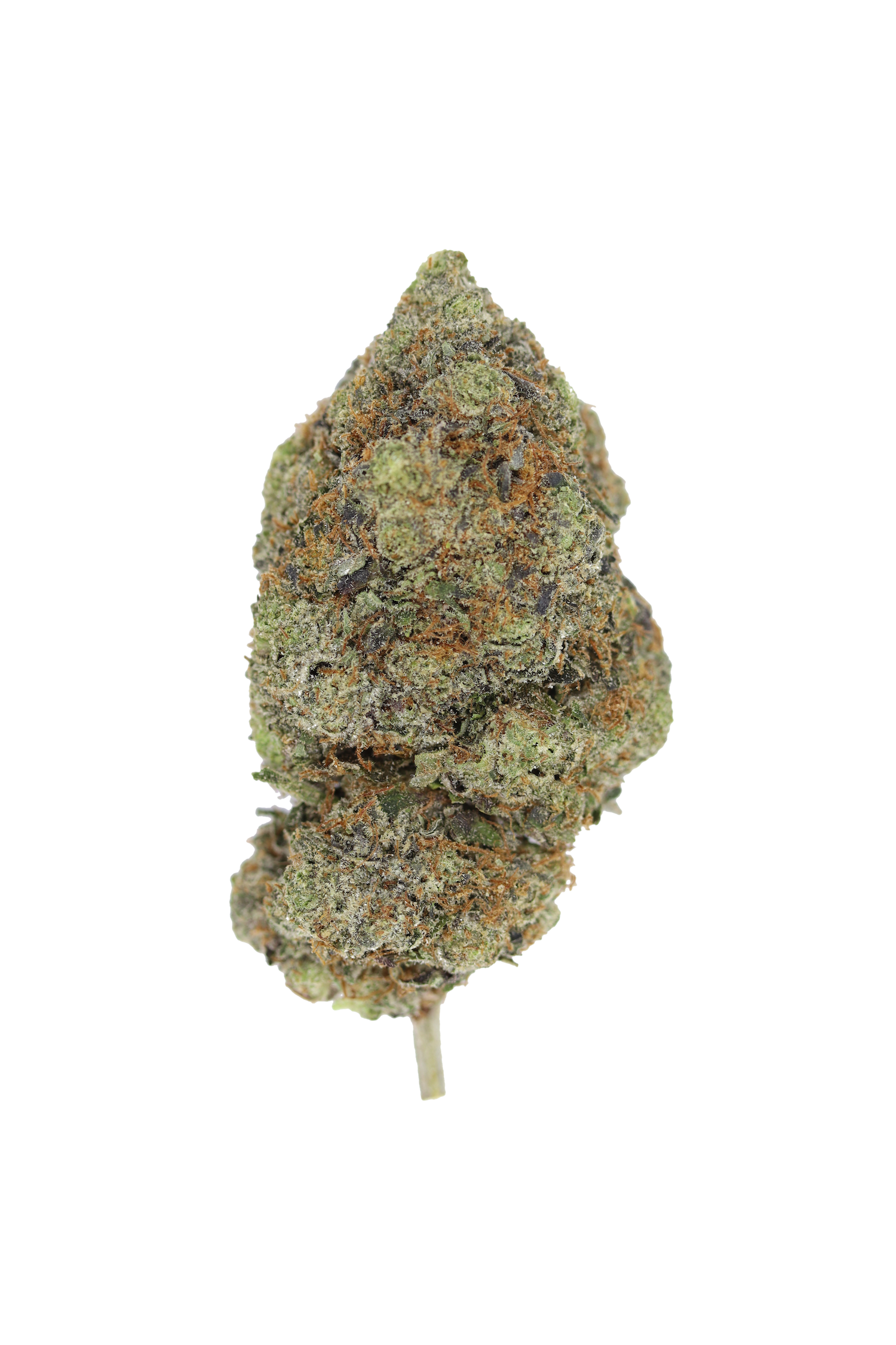 Gods Bubba Bud God's Bubba
