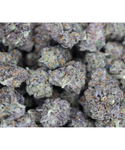 Purple Diesel bag Purple Diesel bag