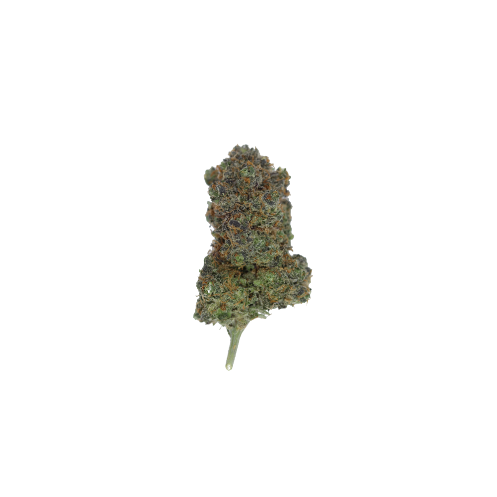 Rainbow Pie Bud1 Rainbow Pie