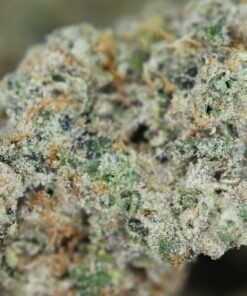 Sunshine OG Bag scaled 1