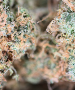Super Silver Haze Bag Super Silver Haze Bag
