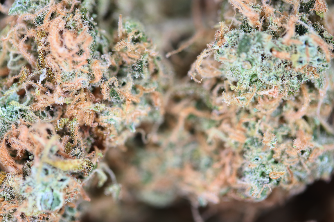 Super Silver Haze Bag Island Exotics - Super Silver Haze