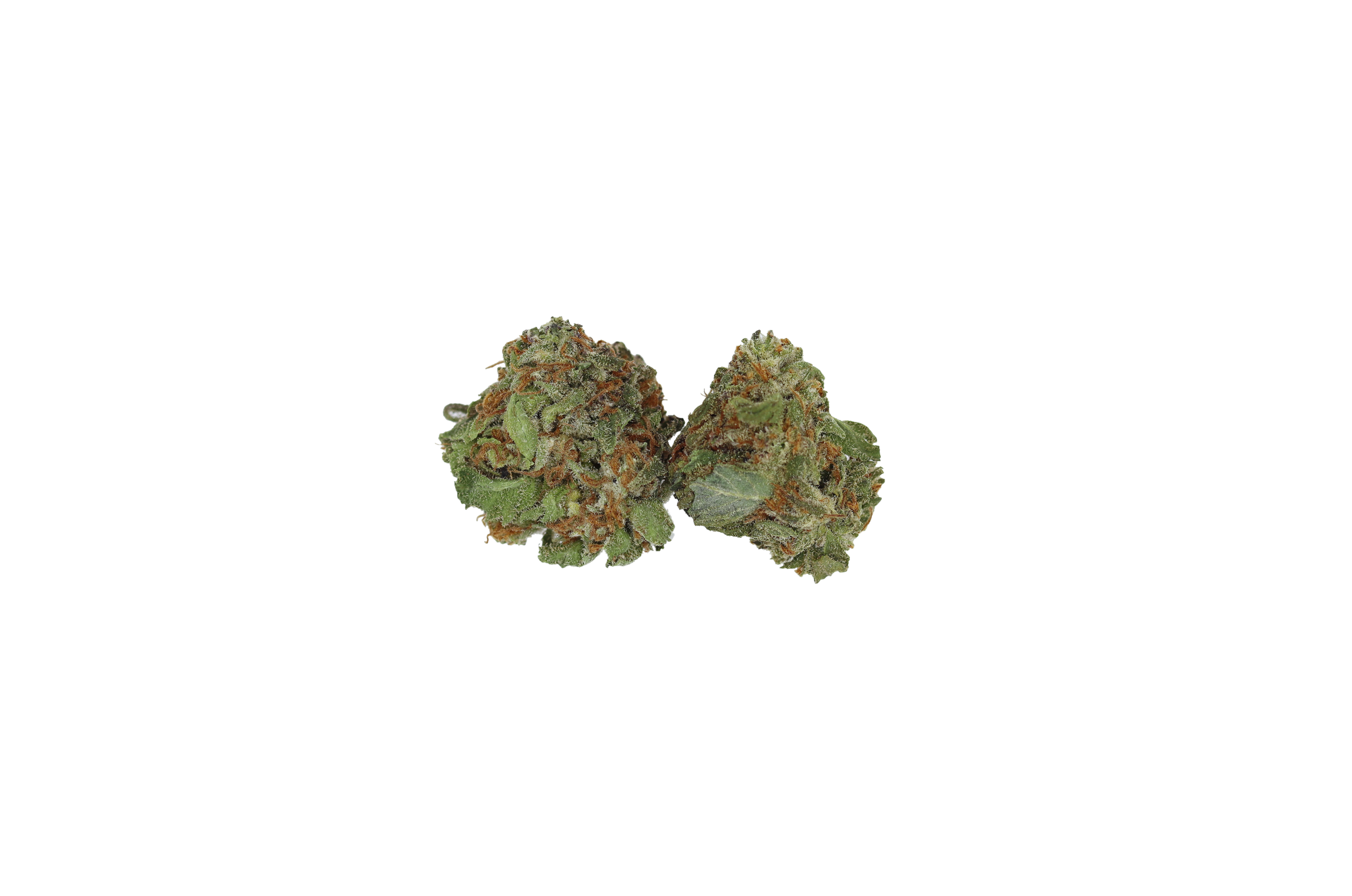 Wasabi Smalls Bud Wasabi Smalls