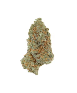 buy agent orange online