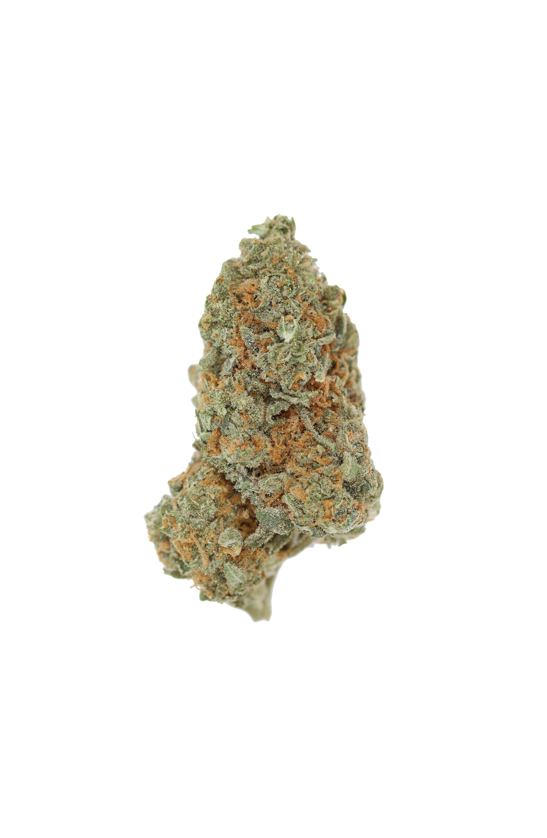 Agent Orage Agent Orange