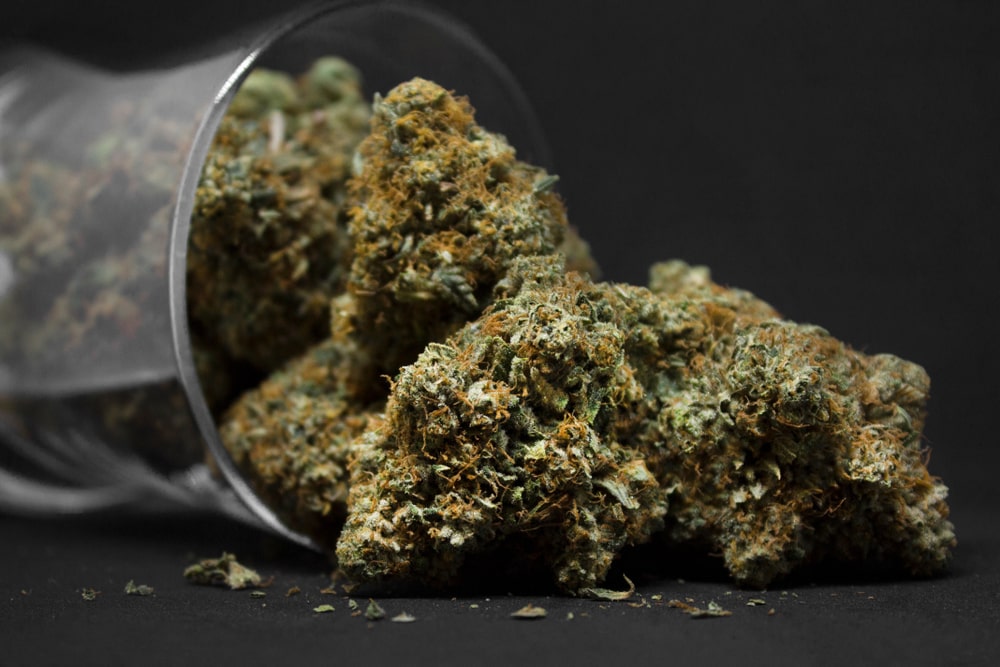 Hybrid Weed Online in Canada Hybrid Weed Online in Canada