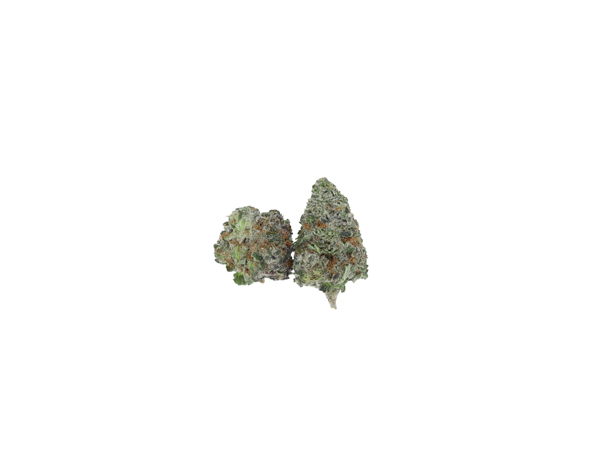 OMFG Smalls Nug OMFG Smalls