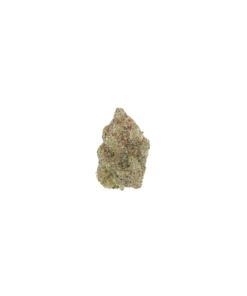Sour Amnesia