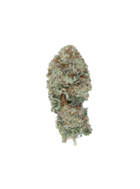Tuna Kush1 4 Tuna Kush