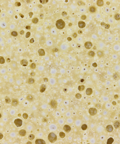 Animal Face Crumble buy Animal Face Crumble online