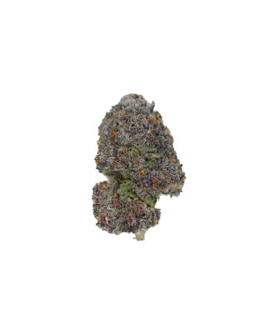 Grape Gusherz.1 Island Exotics - Grape Gusherz
