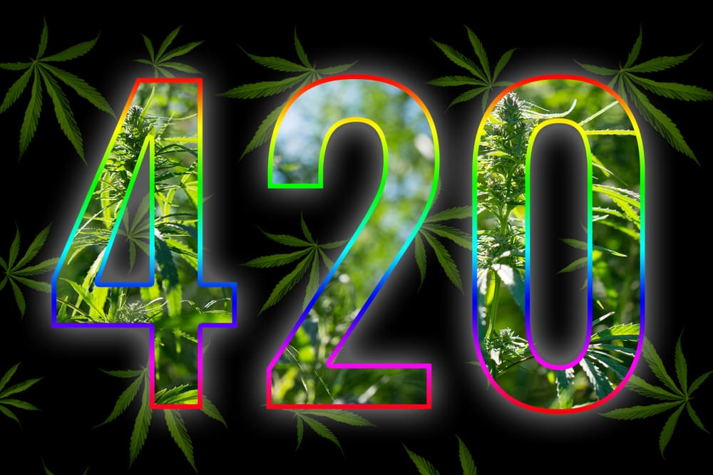 International Cannabis Day International Cannabis Day