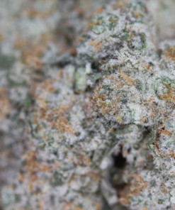 Strawberry Zkittles bag Strawberry Zkittles bag