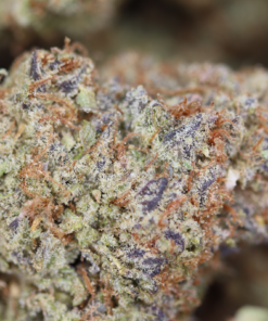 Lemon Diesel Bag Lemon Diesel Bag