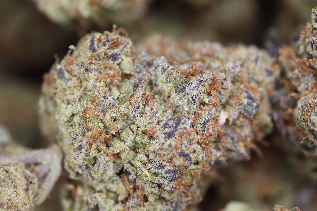 Lemon Diesel Bag Lemon Diesel