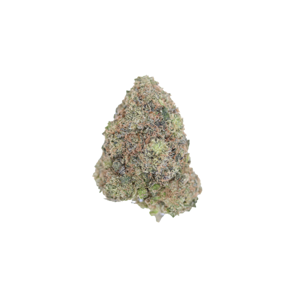 Sorbet new Sorbet