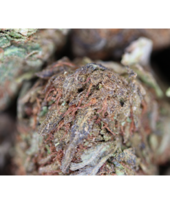 Eastside OG Bag Eastside OG Bag