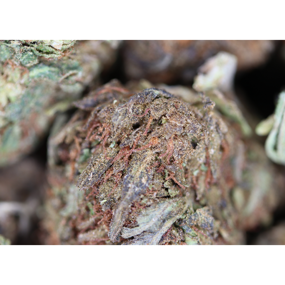 Eastside OG Bag Eastside OG