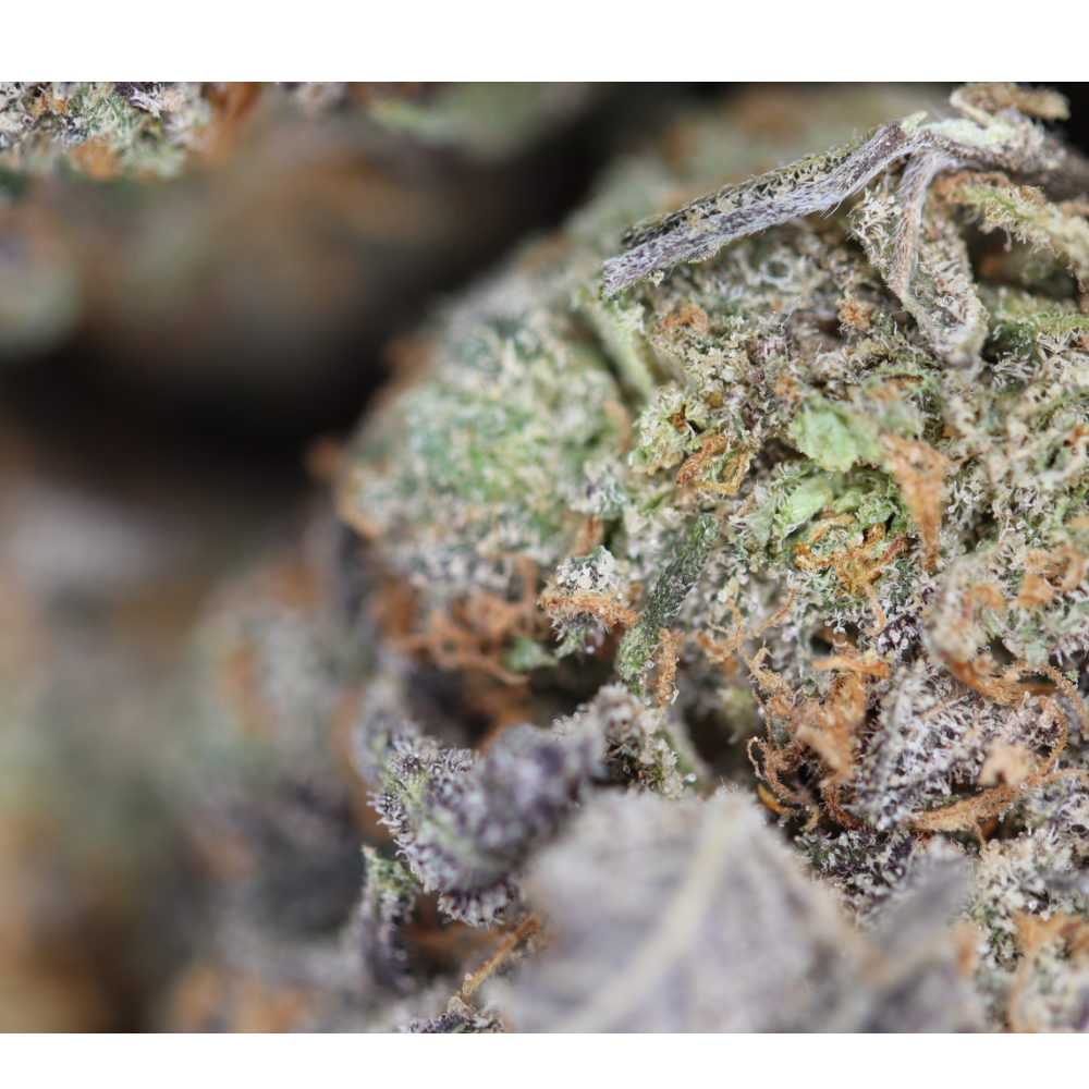 Grape Gelato Bag Grape Gelato