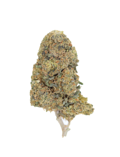 NY Cheese 2 NY Cheese